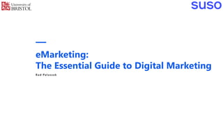 eMarketing:
The Essential Guide to Digital Marketing
Rad Paluszak
 