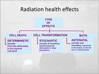 Radiation health effects 
CELL DEATH 
DETERMINISTIC 
Somatic 
Clinically attributable 
in the exposed 
individual 
STOCHASTIC 
somatic & hereditary 
epidemiologically 
attributable in large 
populations 
BOTH 
ANTENATAL 
somatic and 
hereditary expressed 
in the foetus, in the live 
born or descendants 
TYPE 
OF 
EFFECTS 
CELL TRANSFORMATION 
 
