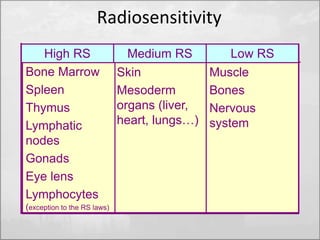 Radiosensitivity 
High RS Medium RS Low RS 
Muscle 
Bones 
Nervous 
system 
Skin 
Mesoderm 
organs (liver, 
heart, lungs…) 
Bone Marrow 
Spleen 
Thymus 
Lymphatic 
nodes 
Gonads 
Eye lens 
Lymphocytes 
(exception to the RS laws) 
 