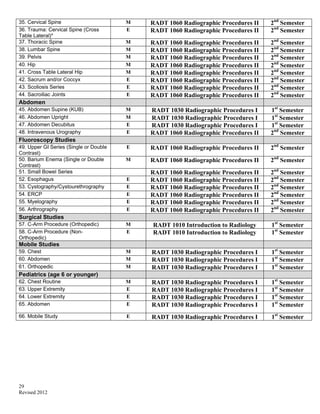 Rad Tech Master Plan | PDF