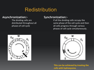Radiation biology | PPTX