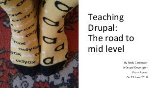 Teaching
Drupal:
The road to
mid level
By Radu Camerzan
A Drupal Developer
From Adyax
On 23 June 2018
 