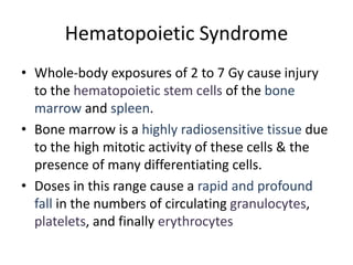Hematopoietic Syndrome
• Whole-body exposures of 2 to 7 Gy cause injury
to the hematopoietic stem cells of the bone
marrow and spleen.
• Bone marrow is a highly radiosensitive tissue due
to the high mitotic activity of these cells & the
presence of many differentiating cells.
• Doses in this range cause a rapid and profound
fall in the numbers of circulating granulocytes,
platelets, and finally erythrocytes
 