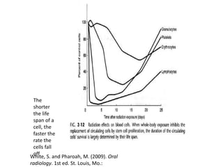 White, S. and Pharoah, M. (2009). Oral
radiology. 1st ed. St. Louis, Mo.:
The
shorter
the life
span of a
cell, the
faster the
rate the
cells fall
off
 