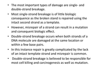• The most important types of damage are single- and
double-strand breakage.
• Most single-strand breakage is of little biologic
consequence as the broken stand is repaired using the
intact second strand as a template.
• However, misrepair of a strand can result in a mutation
and consequent biologic effect.
• Double-strand breakage occurs when both strands of a
DNA molecule are damaged at the same location or
within a few base pairs.
• In this instance repair is greatly complicated by the lack
of an intact template strand and misrepair is common.
• Double-strand breakage is believed to be responsible for
most cell killing and carcinogenesis as well as mutation.
 