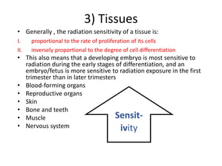 3) Tissues
• Generally , the radiation sensitivity of a tissue is:
I. proportional to the rate of proliferation of its cells
II. inversely proportional to the degree of cell differentiation
• This also means that a developing embryo is most sensitive to
radiation during the early stages of differentiation, and an
embryo/fetus is more sensitive to radiation exposure in the first
trimester than in later trimesters
• Blood-forming organs
• Reproductive organs
• Skin
• Bone and teeth
• Muscle
• Nervous system
Sensit-
ivity
 