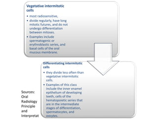 Vegetative intermitotic
cells
• most radiosensitive,
• divide regularly, have long
mitotic futures, and do not
undergo differentiation
between mitoses.
• Examples include
spermatogenic or
erythroblastic series, and
basal cells of the oral
mucous membrane.
Differentiating intermitotic
cells
• they divide less often than
vegetative intermitotic
cells.
• Examples of this class
include the inner enamel
epithelium of developing
teeth, cells of the
hematopoietic series that
are in the intermediate
stages of differentiation,
spermatocytes, and
oocytes.
Sources:
Oral
Radiology
Principle
and
Interpretat
 