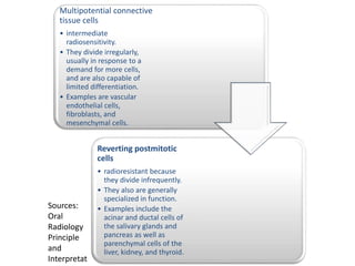 Multipotential connective
tissue cells
• intermediate
radiosensitivity.
• They divide irregularly,
usually in response to a
demand for more cells,
and are also capable of
limited differentiation.
• Examples are vascular
endothelial cells,
fibroblasts, and
mesenchymal cells.
Reverting postmitotic
cells
• radioresistant because
they divide infrequently.
• They also are generally
specialized in function.
• Examples include the
acinar and ductal cells of
the salivary glands and
pancreas as well as
parenchymal cells of the
liver, kidney, and thyroid.
Sources:
Oral
Radiology
Principle
and
Interpretat
 
