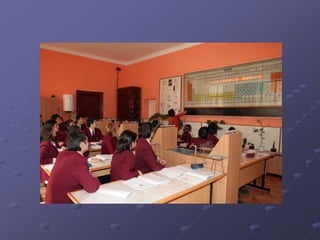 Radu negru   prezentare noua