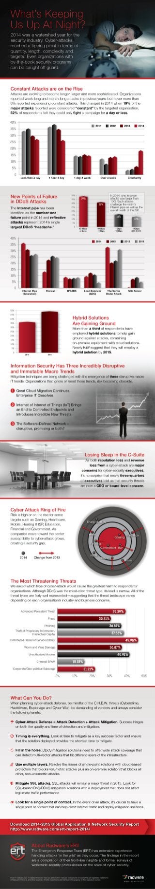 Radware Global Application & Network Security Report 2014-2015 Infographic