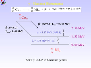 γ  - Gamma Bozunumu Co 33 Ni 32 β - 1  (%99. 8) E max = 0.313 MeV β - 2   (%0. 2) E max = 1. 48 MeV 0. 00 MeV 1. 33 MeV 2. 50 MeV γ 1   = 1.17 MeV (%99.8) γ 2   = 1.33 MeV (%100) Sekil ; Co-60‘ ın bozunum şeması 27 60 28 60 