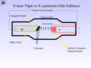X- Işını Tüpü ve X-ışınlarının Elde Edilmesi Katot Işınları X- Işınları - + Bakır Anot Tungsten  Hedef Vakum Kabı Isıtılmış   T ungsten F ilament  Katot + - Yüksek Voltaj Kaynağı 