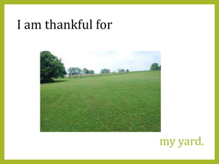 my yard.
I am thankful for
 
