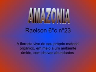 Raelson 6°c n°23 A floresta vive do seu próprio material orgânico, em meio a um ambiente úmido, com chuvas abundantes  AMAZONIA 
