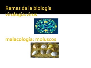 Ramas de la biologíavirologia:virus malacología: moluscos