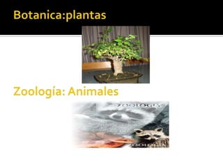 Botanica:plantasZoología: Animales