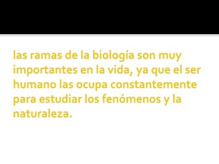 las ramas de la biología son muy importantes en la vida, ya que el ser humano las ocupa constantemente para estudiar los fenómenos y la naturaleza.