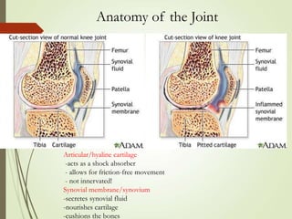 RA factor & Anti-CCP.ppt