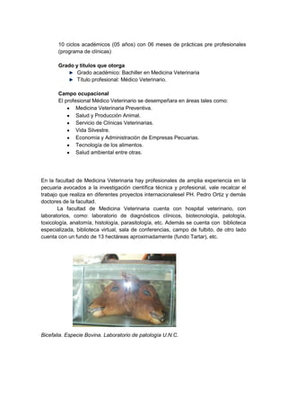 Rafael benavides wesley (autoguardado)