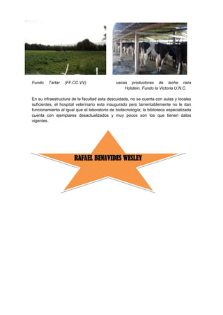 Rafael benavides wesley (autoguardado)