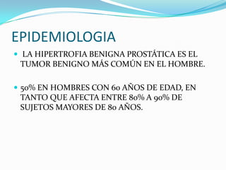 EPIDEMIOLOGIA
 LA HIPERTROFIA BENIGNA PROSTÁTICA ES EL
 TUMOR BENIGNO MÁS COMÚN EN EL HOMBRE.

 50% EN HOMBRES CON 60 AÑOS DE EDAD, EN
 TANTO QUE AFECTA ENTRE 80% A 90% DE
 SUJETOS MAYORES DE 80 AÑOS.
 