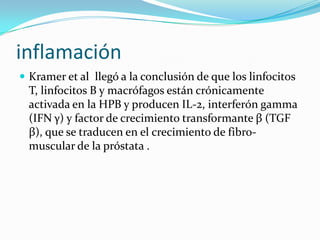 inflamación
 Kramer et al llegó a la conclusión de que los linfocitos
  T, linfocitos B y macrófagos están crónicamente
  activada en la HPB y producen IL-2, interferón gamma
  (IFN γ) y factor de crecimiento transformante β (TGF
  β), que se traducen en el crecimiento de fibro-
  muscular de la próstata .
 