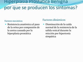 Hiperplasia Prostática Benigna
por que se producen los síntomas?

Factores mecánicos                Factores dinámicos
 Resistencia anatómica al paso    Disminución de la caída
  de la orina por compresión de     normal de la resistencia de la
  la uretra causada por la          salida vesical durante la
  hiperplasia prostática            micción por hipertonía
                                    simpática
 