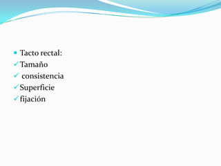  Tacto rectal:
 Tamaño
 consistencia
 Superficie
 fijación
 