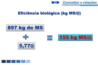 Conceitos e relações


   Eficiência biológica (kg MS/@)


897 kg de MS
                      155 kg MS/@
   5,77@
 