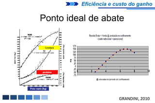 Eficiência e custo do ganho

Ponto ideal de abate




                       GRANDINI, 2010
 