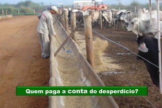 Quem paga a conta do desperdício?
 