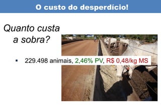 O custo do desperdício!


Quanto custa
 a sobra?

     229.498 animais, 2,46% PV, R$ 0,48/kg MS
 