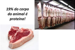 19% do corpo
 do animal é
  proteína!
 