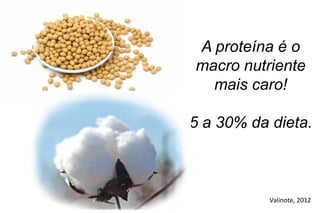 A proteína é o
macro nutriente
  mais caro!

5 a 30% da dieta.



           Valinote, 2012
 