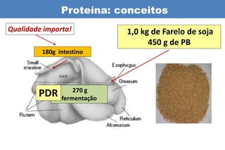 Proteína: conceitos
Qualidade importa!           1,0 kg de Farelo de soja
                                   450 g de PB
         180g intestino




                   270 g
        PDR    fermentação
 