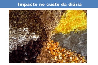 Impacto no custo da diária
 