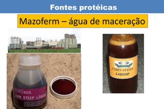 Fontes protéicas
Mazoferm – água de maceração
 