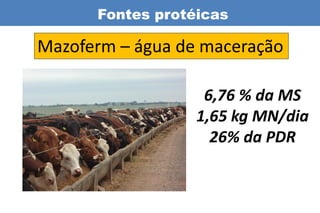 Fontes protéicas

Mazoferm – água de maceração

                   6,76 % da MS
                  1,65 kg MN/dia
                    26% da PDR
 