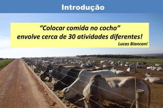 Introdução

       “Colocar comida no cocho”
envolve cerca de 30 atividades diferentes!
                                 Lucas Bianconi
 