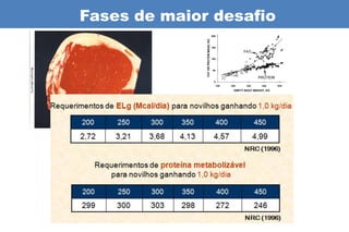 Fases de maior desafio
 