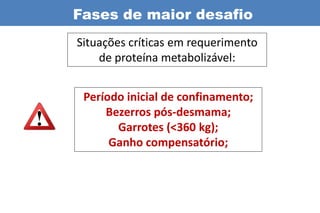 Fases de maior desafio
Situações críticas em requerimento
    de proteína metabolizável:


 Período inicial de confinamento;
     Bezerros pós-desmama;
       Garrotes (<360 kg);
      Ganho compensatório;
 