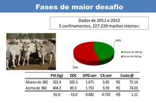 Fases de maior desafio
                             Dados de 2011 e 2012
                   5 confinamentos, 227.220 machos inteiros:


                                                  46%


                                                        Abaixo de 360 kg
                                                        Acima de 360 kg



                           54%

              PVI (kg)   DDC     GPD corr CA corr    Custo @
Abaixo de 360 322.4      102.3    1.671    5.85   R$      75.14
Acima de 360 404.2       89.3     1.753    6.59   R$      74.03
               81.8      -13.0    0.082    0.735 -R$       1.11
 