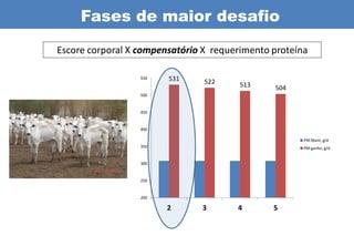 Fases de maior desafio

Escore corporal X compensatório X requerimento proteína

                  550   531     522     513    504
                  500


                  450


                  400

                                                      PM Mant, g/d
                  350                                 PM ganho, g/d


                  300


                  250


                  200

                        2      3       4       5
 