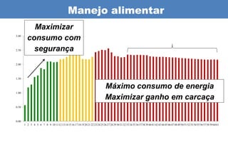 Manejo alimentar
           Maximizar
3.00
         consumo com
2.50       segurança
2.00



1.50


                                                                              Máximo consumo de energia
1.00

                                                                              Maximizar ganho em carcaça
0.50




0.00
       1 2 3 4 5 6 7 8 9 10 11 12 13 14 15 16 17 18 19 20 21 22 23 24 25 26 27 28 29 30 31 32 33 34 35 36 37 38 39 40 41 42 43 44 45 46 47 48 49 50 51 52 53 54 55 56 57 58 59 60 61
 