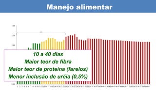 Manejo alimentar

 3.00




 2.50




 2.00



 1.50    10 a 40 dias
 1.00
      Maior teor de fibra
Maior teor de proteína (farelos)
 0.50
Menor inclusão de uréia (0,5%)
 0.00
        1 2 3 4 5 6 7 8 9 10 11 12 13 14 15 16 17 18 19 20 21 22 23 24 25 26 27 28 29 30 31 32 33 34 35 36 37 38 39 40 41 42 43 44 45 46 47 48 49 50 51 52 53 54 55 56 57 58 59 60 61
 