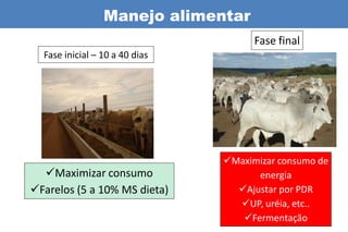 Manejo alimentar
                                      Fase final
  Fase inicial – 10 a 40 dias




                                Maximizar consumo de
  Maximizar consumo                  energia
Farelos (5 a 10% MS dieta)       Ajustar por PDR
                                  UP, uréia, etc..
                                   Fermentação
 