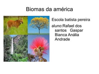 Biomas da américa ,[object Object]