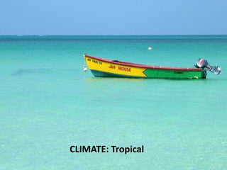 CLIMATE: Tropical 