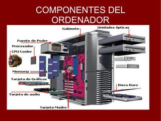 COMPONENTES DEL
  ORDENADOR
 