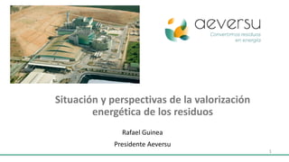 Situación y perspectivas de la valorización
energética de los residuos
1
Rafael Guinea
Presidente Aeversu
 